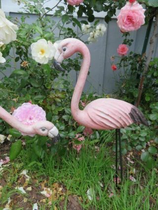 OMG PAIR Old Vintage Metal BABY PINK FLAMINGOES with Legs GARDEN DECOR 4