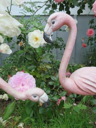 OMG PAIR Old Vintage Metal BABY PINK FLAMINGOES with Legs GARDEN DECOR 5