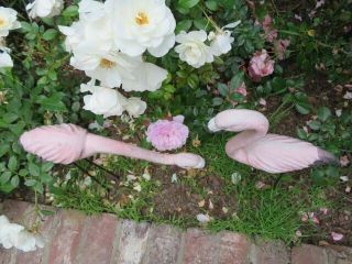 OMG PAIR Old Vintage Metal BABY PINK FLAMINGOES with Legs GARDEN DECOR 9