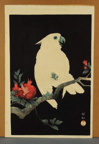 Koson Ohara Shoson Japanese Color Woodblock Print Cockatoo And Pomegranate