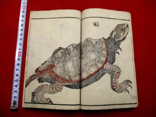 1 - 5 Bansho2 Japanese Sadahide Animal Woodblock Print Book
