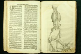 Geminus COMPENDIOSA TOTIUS ANATOMIE 1559 Vesalius FABRICA 36 Plates ENGLISH NR 10