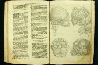 Geminus COMPENDIOSA TOTIUS ANATOMIE 1559 Vesalius FABRICA 36 Plates ENGLISH NR 11