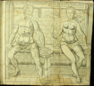 Geminus Compendiosa Totius Anatomie 1559 Vesalius Fabrica 36 Plates English Nr