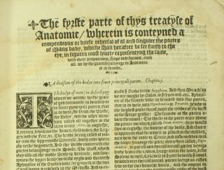 Geminus COMPENDIOSA TOTIUS ANATOMIE 1559 Vesalius FABRICA 36 Plates ENGLISH NR 3