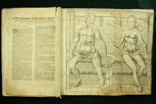 Geminus COMPENDIOSA TOTIUS ANATOMIE 1559 Vesalius FABRICA 36 Plates ENGLISH NR 6
