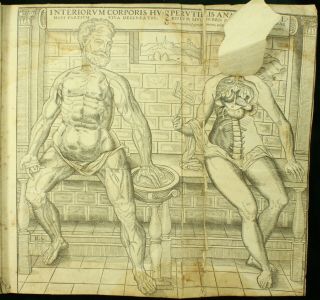 Geminus COMPENDIOSA TOTIUS ANATOMIE 1559 Vesalius FABRICA 36 Plates ENGLISH NR 7