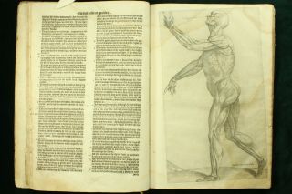 Geminus COMPENDIOSA TOTIUS ANATOMIE 1559 Vesalius FABRICA 36 Plates ENGLISH NR 9