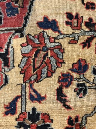 Auth: Antique Sarouk Rare Unique Transitional Type Elegant 5x7 Wool Beauty NR 8