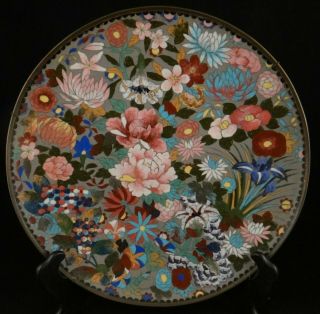 Japanese Cloisonné Charger With Floral Design.  Meiji,  19th C.  11 11/16” Dia.