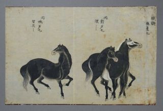 Fine Antique Chinese 19th Century Scroll Painting - 3 Horses