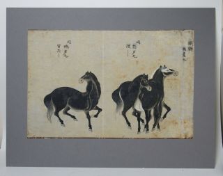 Fine antique Chinese 19th century scroll painting - 3 horses 2