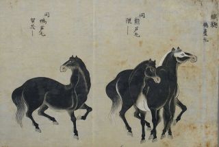 Fine antique Chinese 19th century scroll painting - 3 horses 3