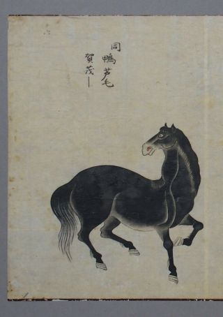 Fine antique Chinese 19th century scroll painting - 3 horses 4