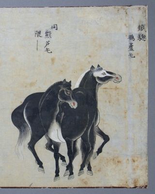 Fine antique Chinese 19th century scroll painting - 3 horses 5