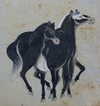 Fine antique Chinese 19th century scroll painting - 3 horses 9