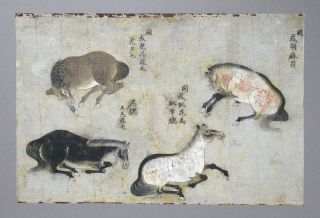 Fine Antique Chinese 19th Century Scroll Painting - 4 Horses