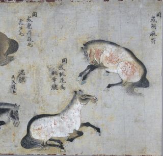 Fine antique Chinese 19th century scroll painting - 4 horses 6