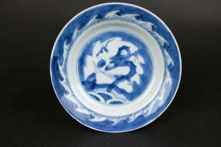 Antique Chinese Porcelain Plate,  Kangxi,  18th C Fish Marked,  Carp And Dragon,