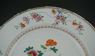 HUGE Antique Chinese Famille Rose Treasure Flower Plate Charger QIANLONG 18th C 3
