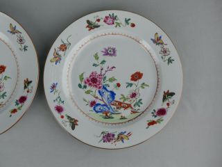 A CHINESE PORCELAIN FAMILLE ROSE PLATES 18TH CENTURY QIANLONG 2