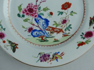 A CHINESE PORCELAIN FAMILLE ROSE PLATES 18TH CENTURY QIANLONG 3