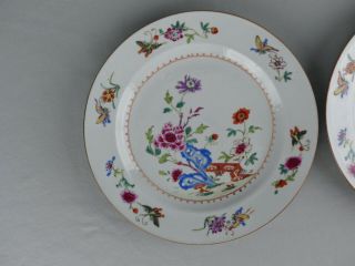 A CHINESE PORCELAIN FAMILLE ROSE PLATES 18TH CENTURY QIANLONG 4