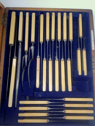 Antique 28pc Carving & Knife Set J Nowill & Sons Sheffield Ivoride Hndl Wood Box