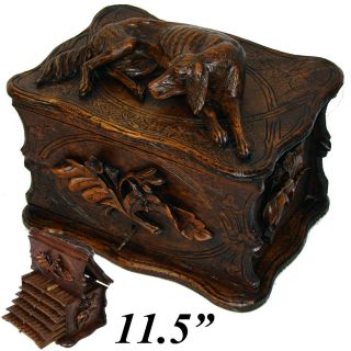 Antique Black Forest 11.  5” Carved Cigar Chest,  Box,  Server - Large Dog Figure