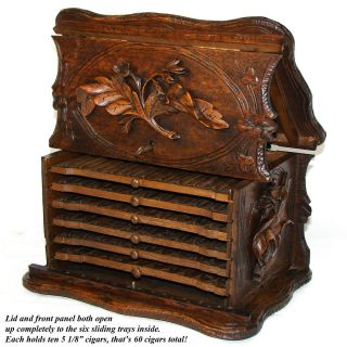 Antique Black Forest 11.  5” Carved Cigar Chest,  Box,  Server - Large DOG Figure 5