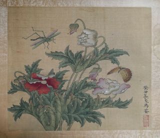 19 C Antique Chinese Painting On Silk Grasshopper And Butterfly Qing Dynasty