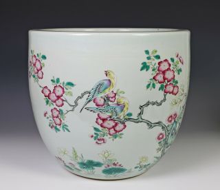 Large Antique Chinese Famille Rose Porcelain Planter Bowl W Birds - 19c