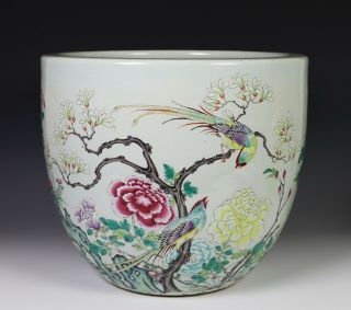 Large Antique Chinese Famille Rose Porcelain Planter Bowl w Birds - 19c 3