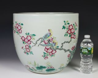 Large Antique Chinese Famille Rose Porcelain Planter Bowl w Birds - 19c 5