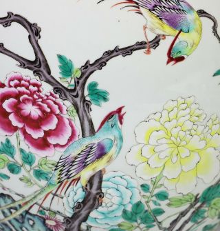 Large Antique Chinese Famille Rose Porcelain Planter Bowl w Birds - 19c 8
