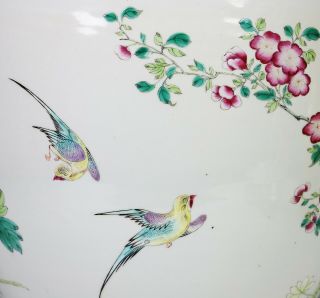 Large Antique Chinese Famille Rose Porcelain Planter Bowl w Birds - 19c 9