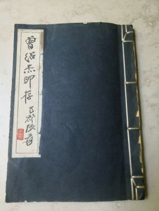 Vintage Chinese Calligraphy Seal Marks Book Not Painting
