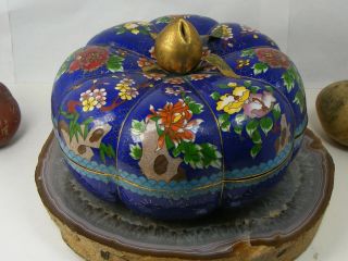 Old Chinese Blue Cloisonne Gourd Divided Bowl Lid Box Fruit Shape 7 " Serving