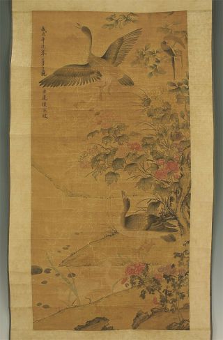 掛軸1967 Chinese Hanging Scroll " Printed 印刷 Two Wild Geese And Flowers " @b756