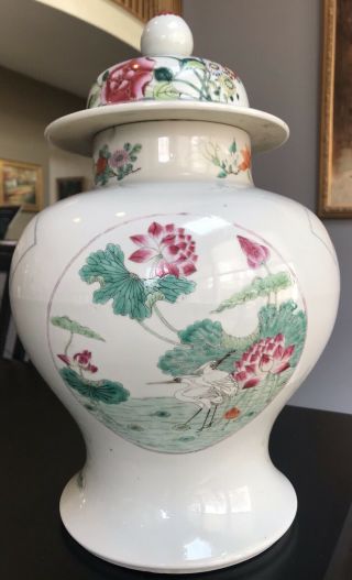 Antique 19th/20th C.  Chinese Porcelain & Enamel Covered Jar Vase Birds & Flowers