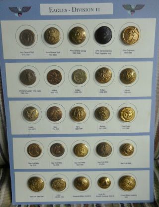 Antique Brass Military Uniform Buttons (25) Civil War & Earlier York Militia