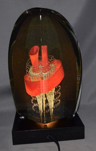Limited Edition Signed Kosta Boda Glass Sculpture On Lighted Base 23/40.