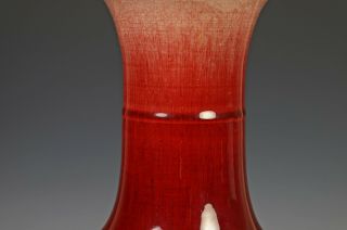 Large Antique Chinese Langyao Glazed Porcelain Vase with Garlic Top 4
