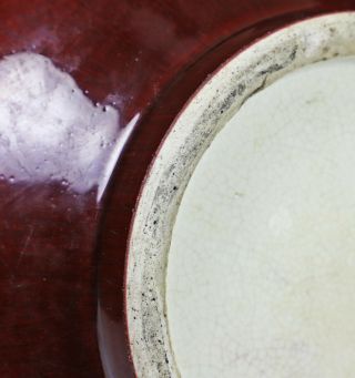 Large Antique Chinese Langyao Glazed Porcelain Vase with Garlic Top 7