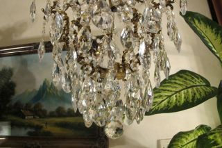 Antique Vnt French Big Cage Style Crystal Chandelier Lamp Lustre 1940 ' s 15in Dmt 10
