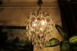 Antique Vnt French Big Cage Style Crystal Chandelier Lamp Lustre 1940 ' s 15in Dmt 3