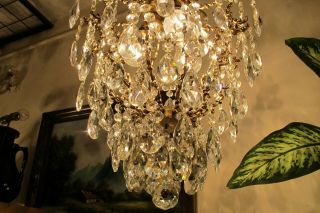 Antique Vnt French Big Cage Style Crystal Chandelier Lamp Lustre 1940 ' s 15in Dmt 6
