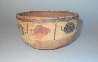 Pre Columbian Peru Nazca Polychrome Pottery Peppers Bowl 100 - 400 A.  D.  AACA 3