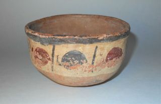 Pre Columbian Peru Nazca Polychrome Pottery Peppers Bowl 100 - 400 A.  D.  AACA 4