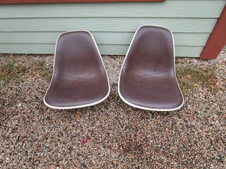 Vintage Herman Miller Brown Shell Chairs Mid Century Shell Only Pair Fiberglass